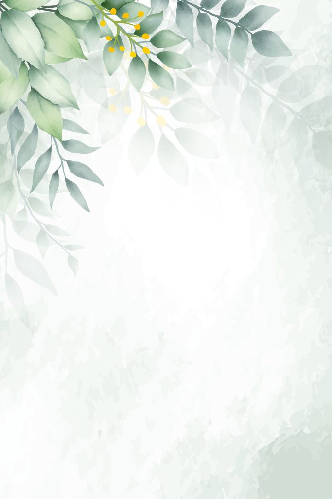 White background with green leaves White background with green leaves