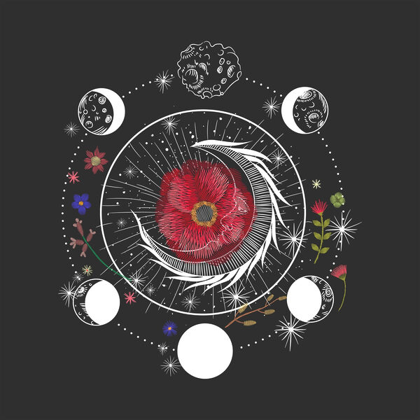 Drawing of a flower and moon phases Drawing of a flower and moon phases