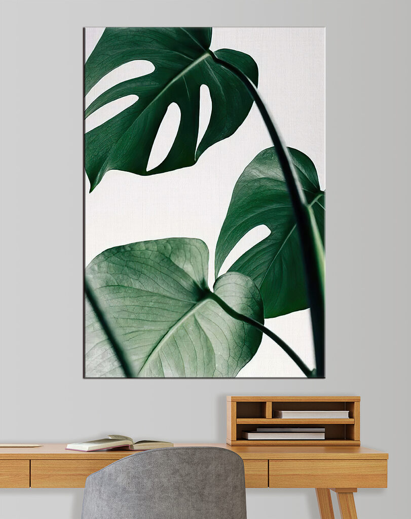 Delicate foliage against white backdrop Delicate foliage against white backdrop