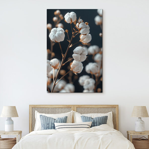 Delicate cotton blooms on display Delicate cotton blooms on display