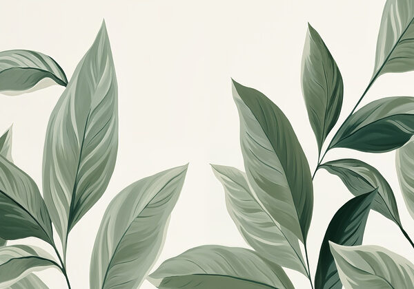 Nature's elegance in soft greens Nature's elegance in soft greens