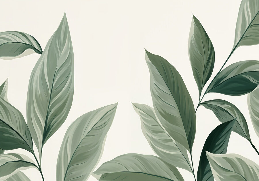 Nature's elegance in soft greens Nature's elegance in soft greens