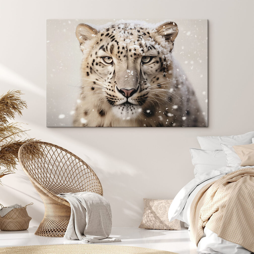 Snow leopard with snow on its head Snow leopard with snow on its head