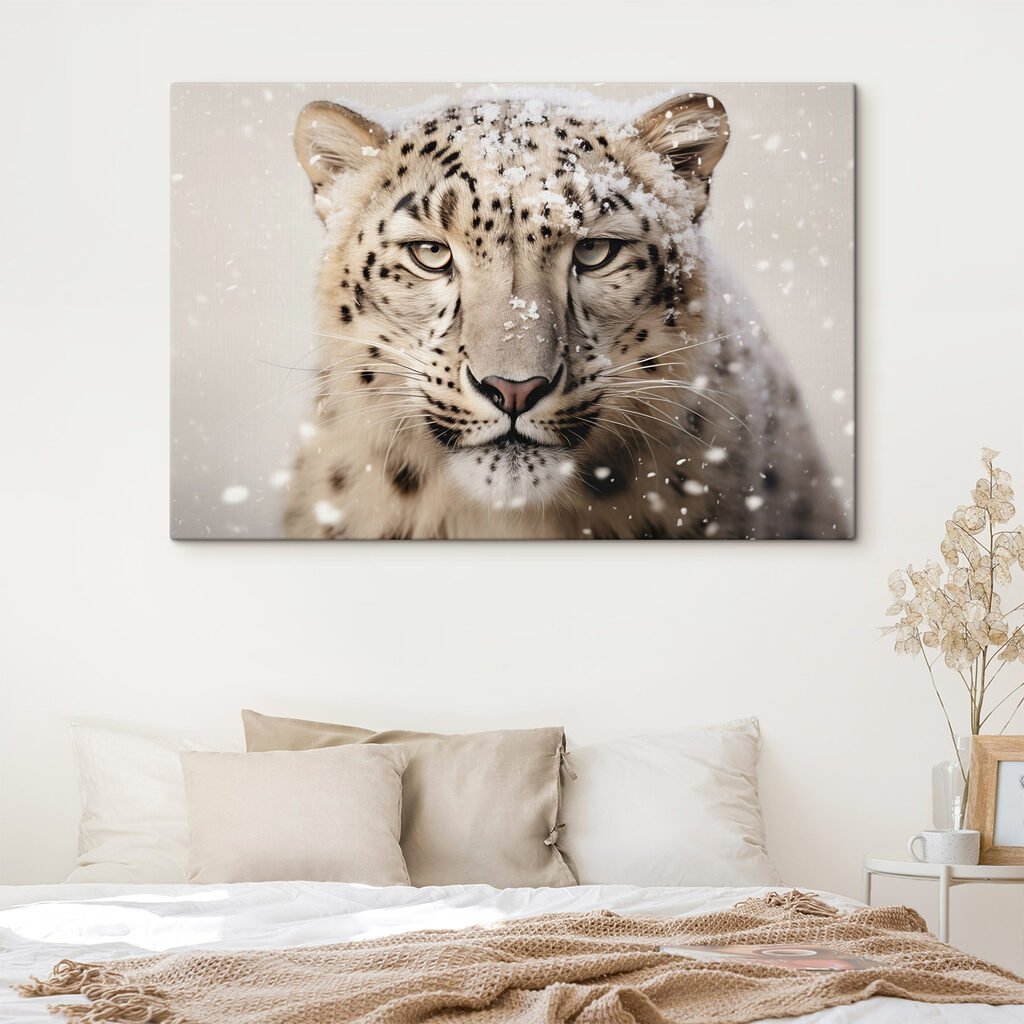 Snow leopard with snow on its head Snow leopard with snow on its head