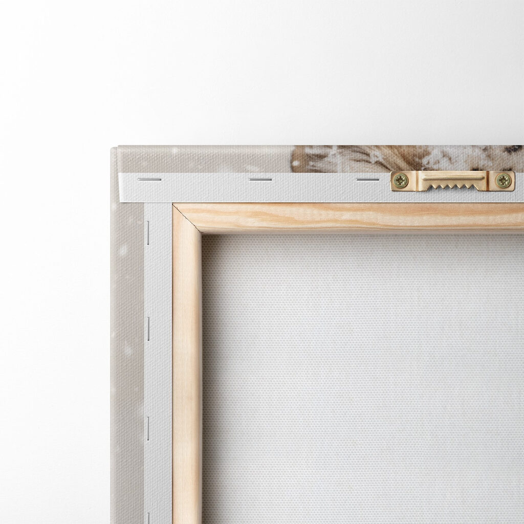 Snow leopard with snow on its head Snow leopard with snow on its head