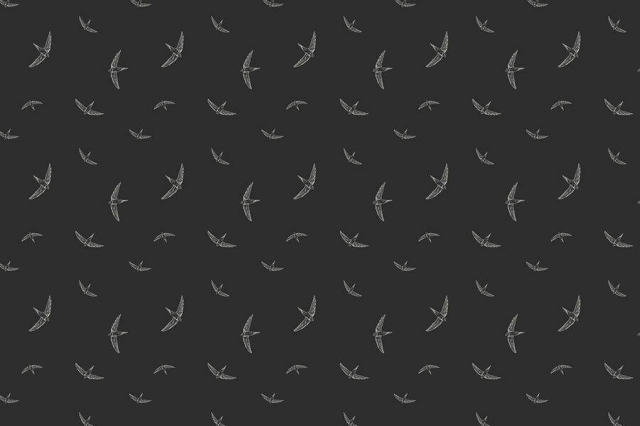 Pattern of white birds on a black background Pattern of white birds on a black background