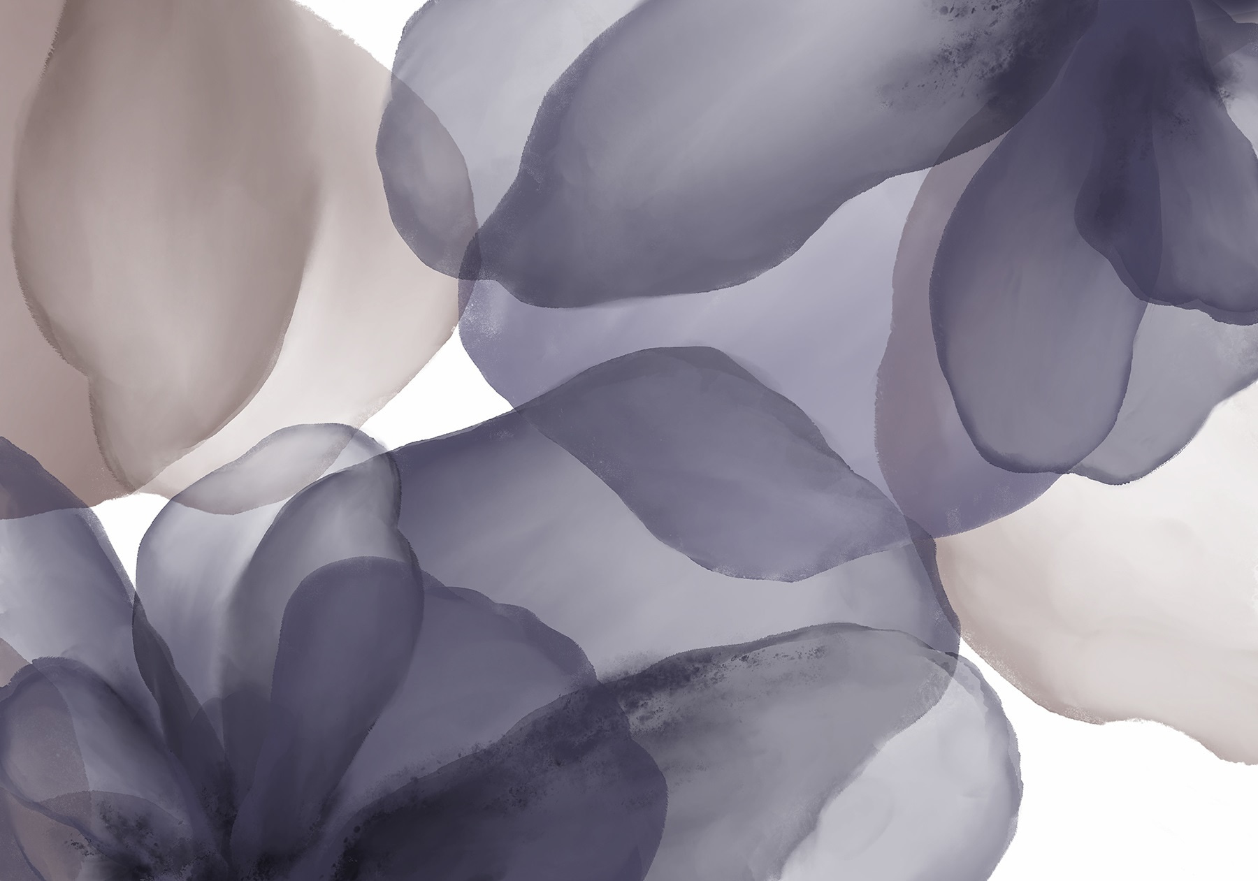 Soft hues blend in gentle harmony