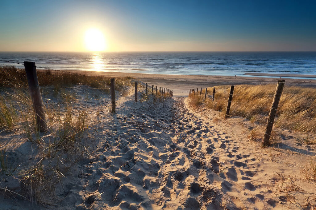 Path to the beach