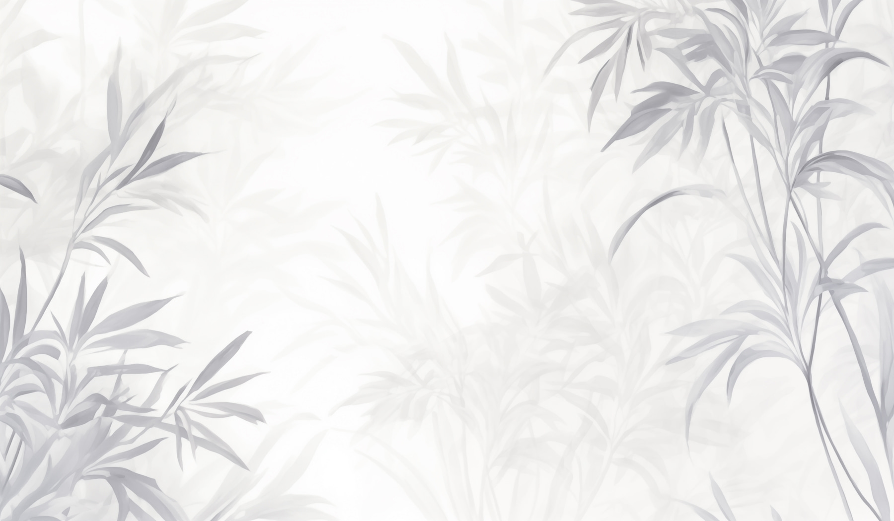 White background with leaves White background with leaves