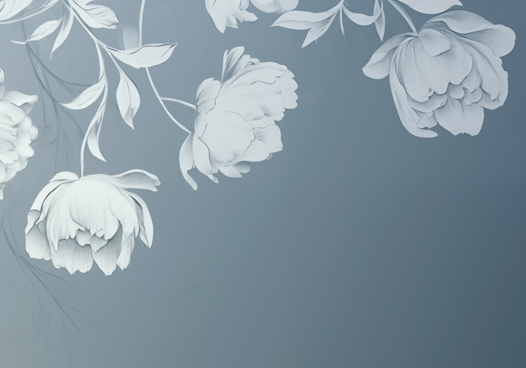 White flowers on a gray background