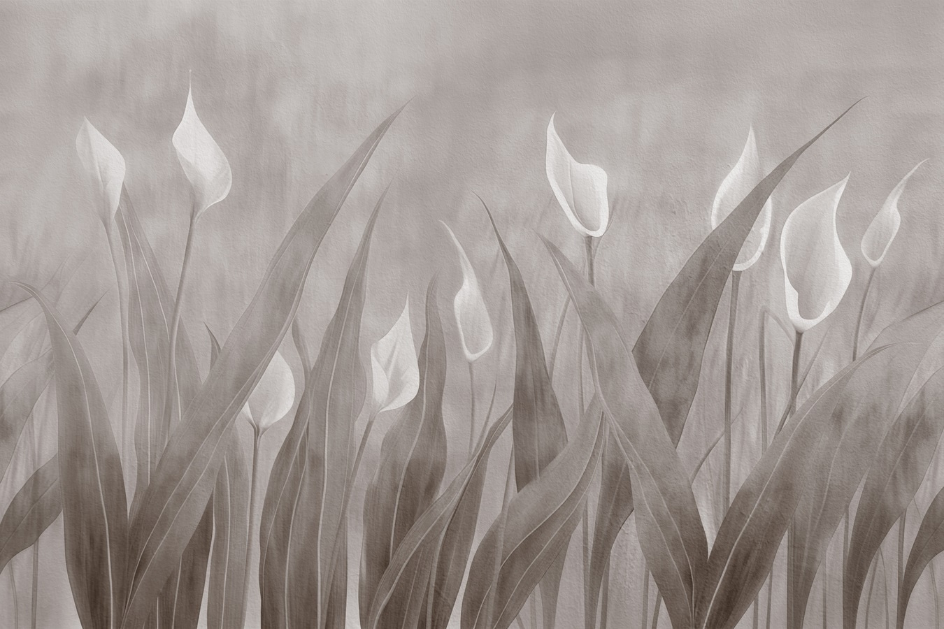 Soft blooms in muted elegance Soft blooms in muted elegance