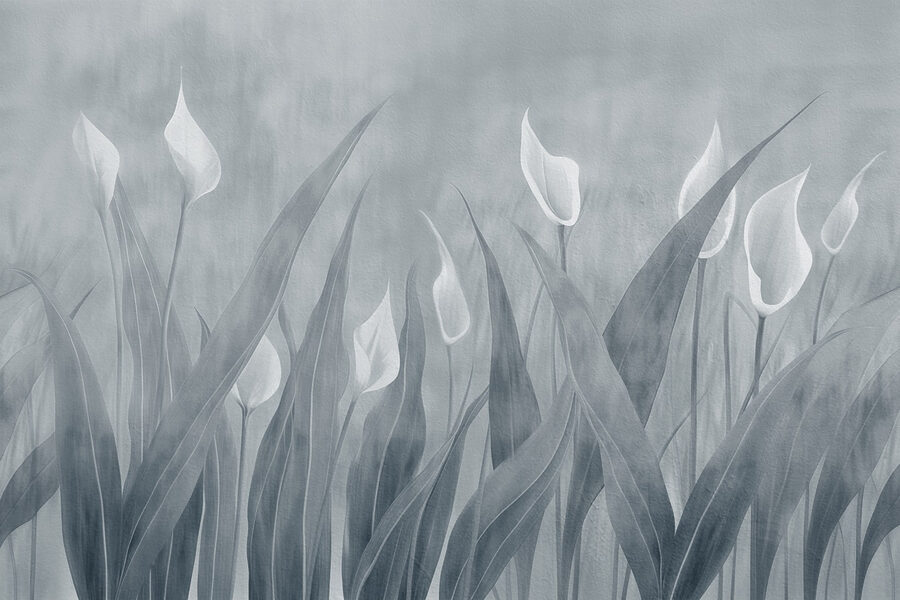 Soft petals in a tranquil landscape Soft petals in a tranquil landscape