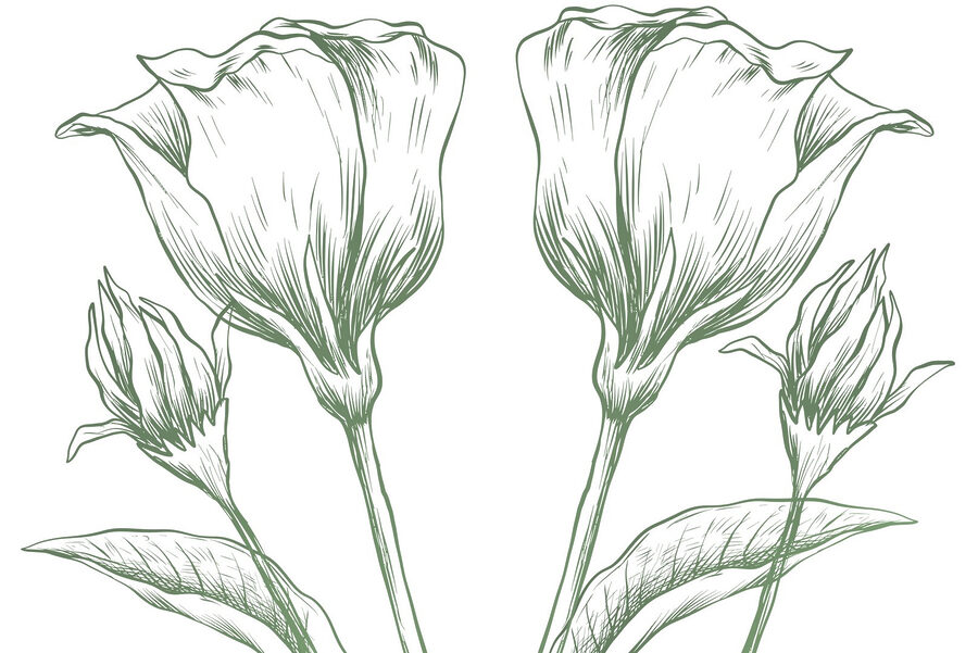 Drawing of flowers and leaves Drawing of flowers and leaves