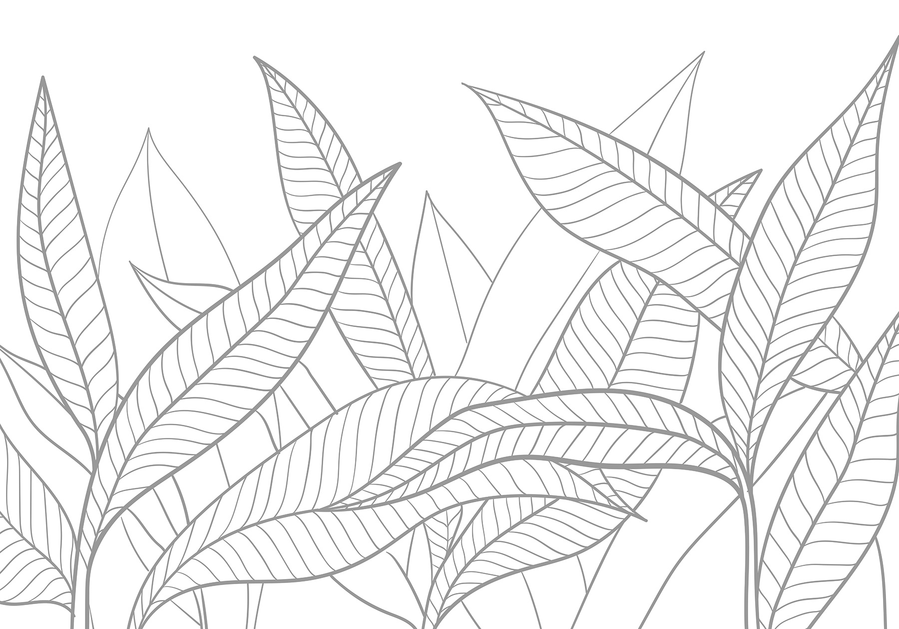 Line drawing of leaves Line drawing of leaves