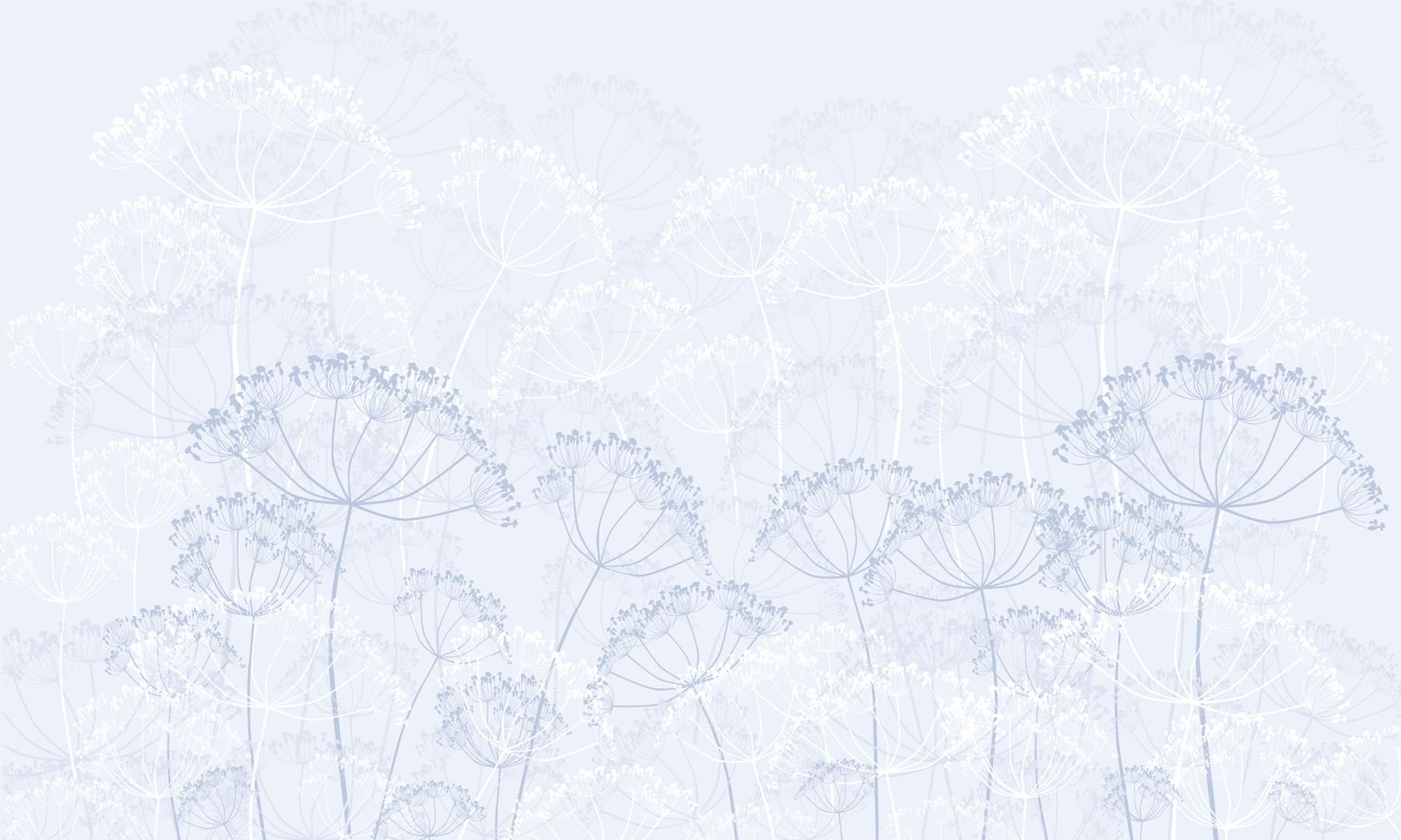 Delicate blooms in soft hues Delicate blooms in soft hues