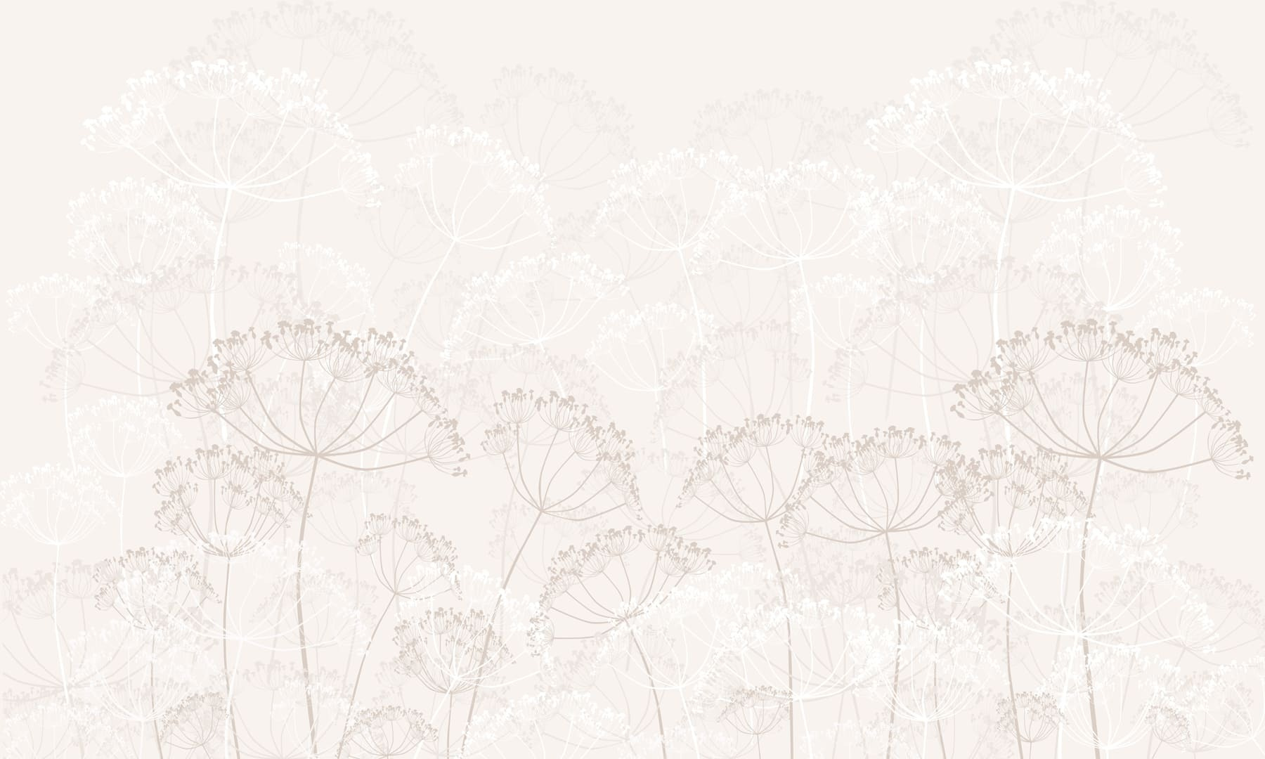 Whispers of nature's delicate beauty Whispers of nature's delicate beauty