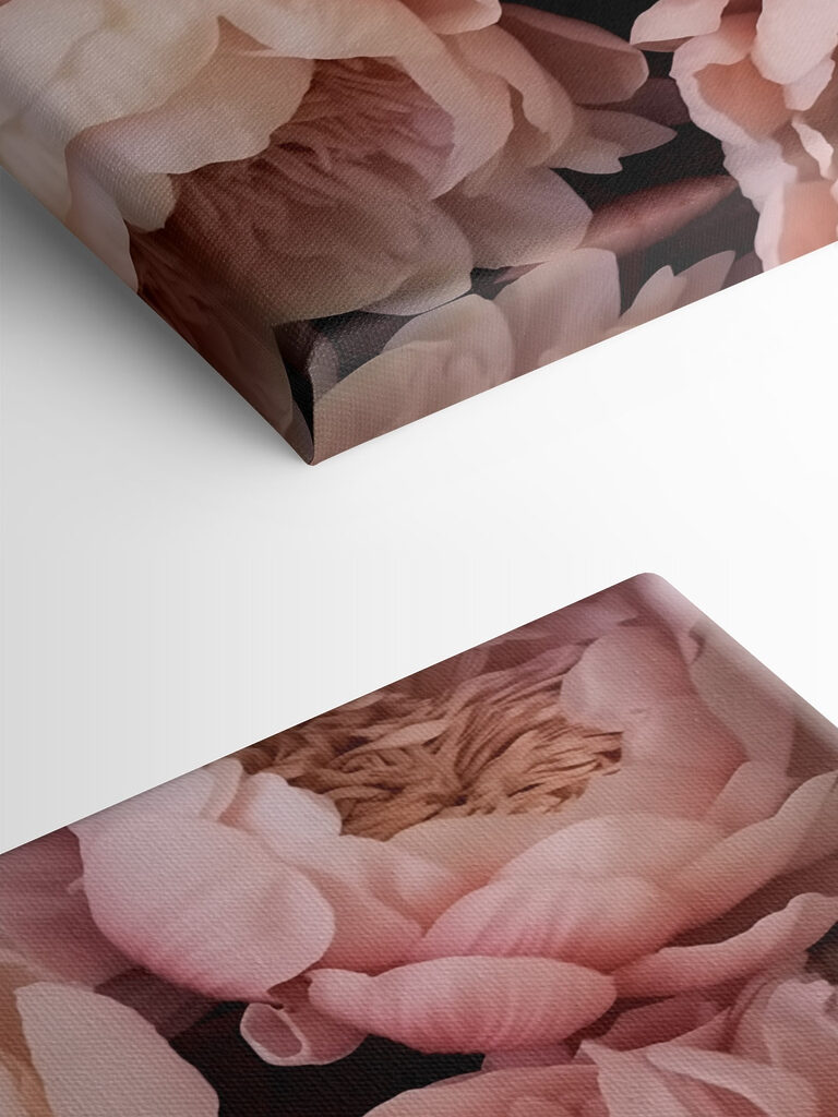 Group of pink flowers Group of pink flowers