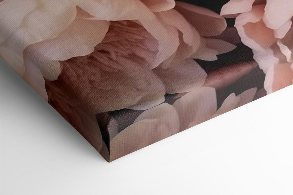 Group of pink flowers Group of pink flowers