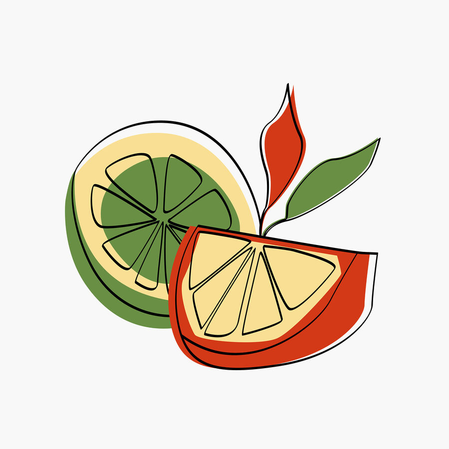 Drawing of a lemon and orange Drawing of a lemon and orange