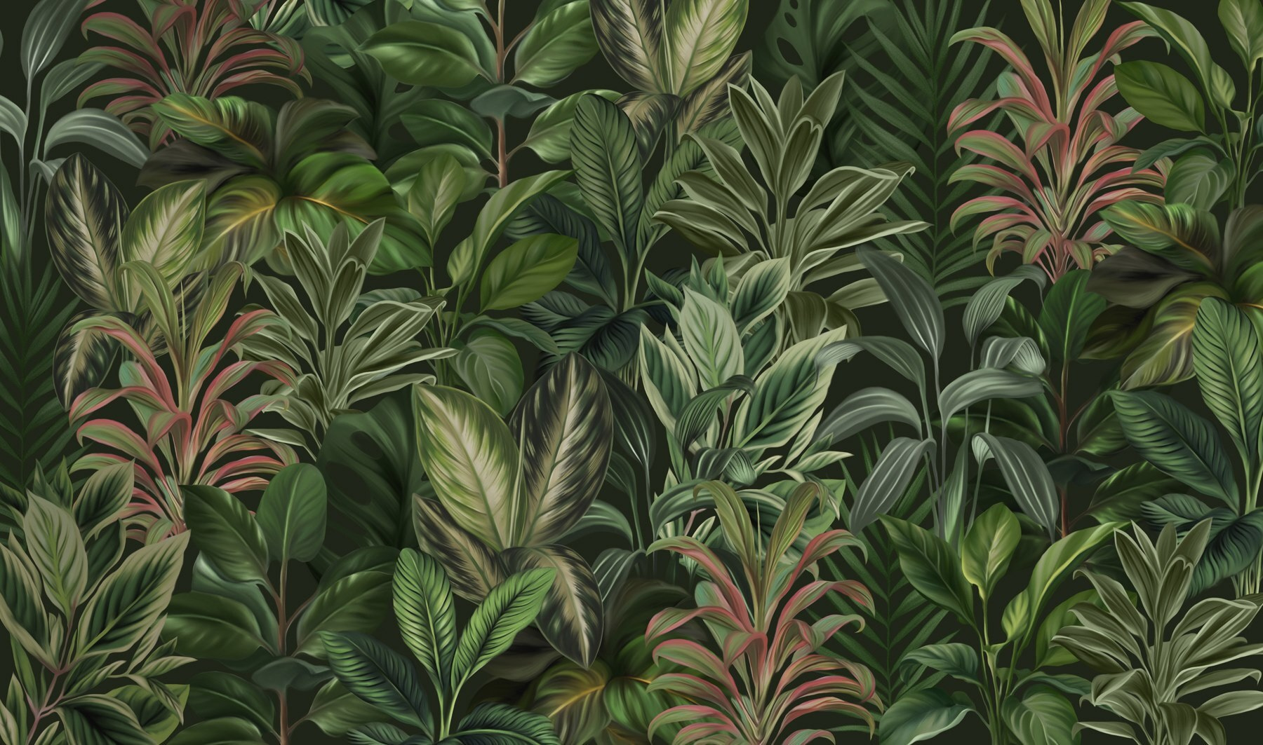 Wallpaper with many different types of leaves Wallpaper with many different types of leaves