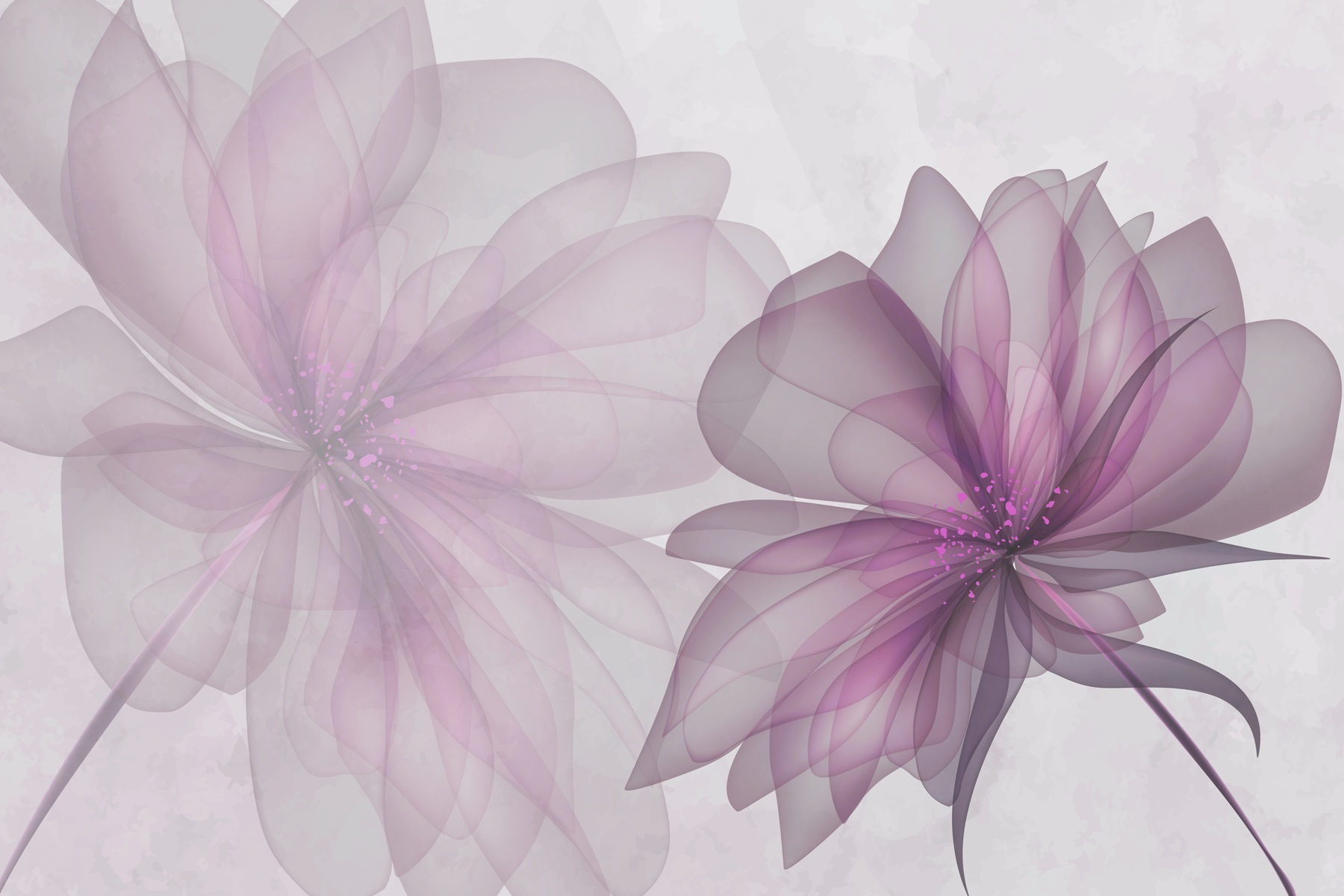 Couple of purple flowers