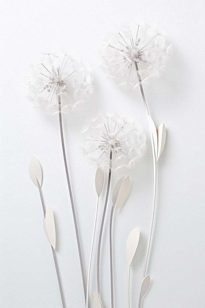 Delicate blooms on slender stems Delicate blooms on slender stems