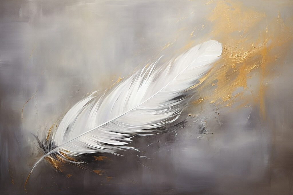 White feather on a grey background