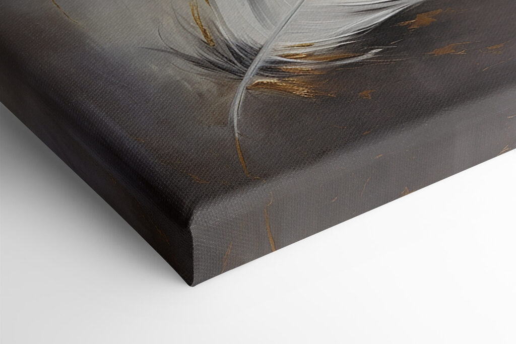 White feather on a grey background