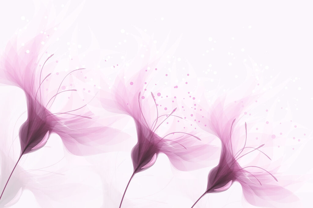 Soft petals in gentle hues