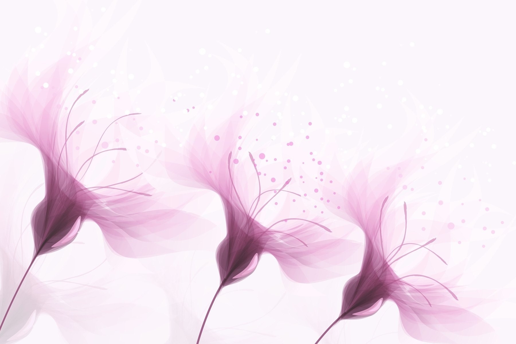 Soft petals in gentle hues