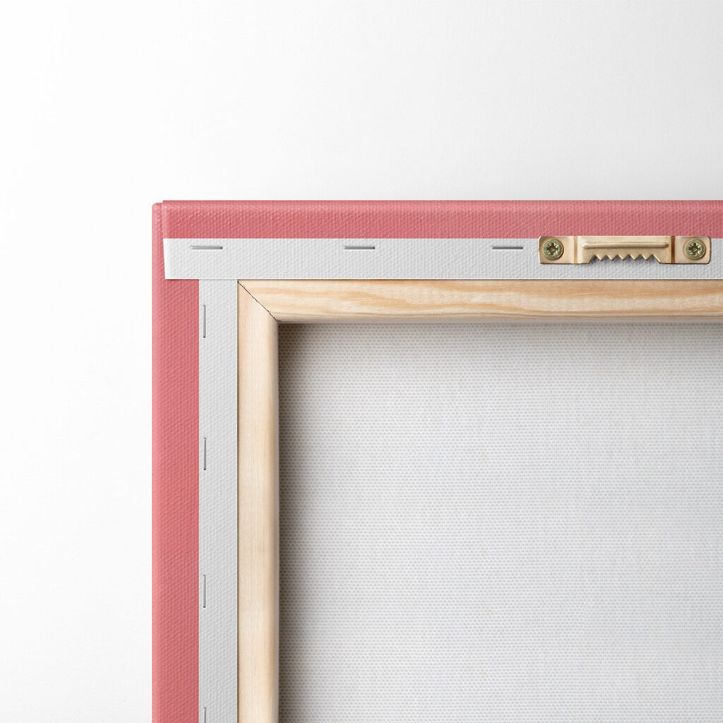 Majestic cat with striking markings Majestic cat with striking markings