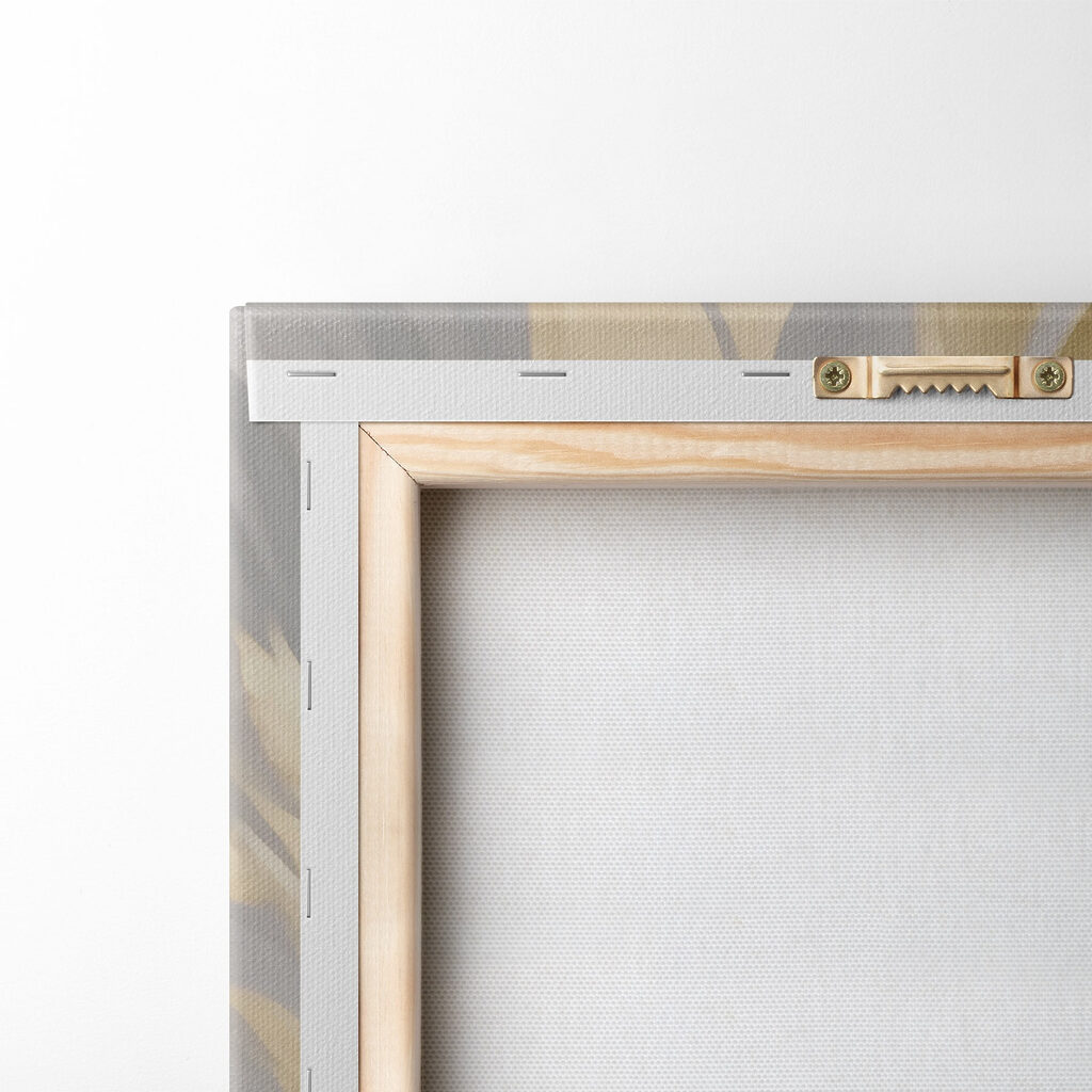 Elegant waves in soft colors Elegant waves in soft colors