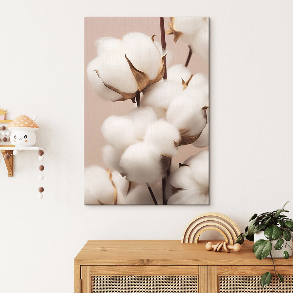 Soft cotton blooms in gentle light Soft cotton blooms in gentle light