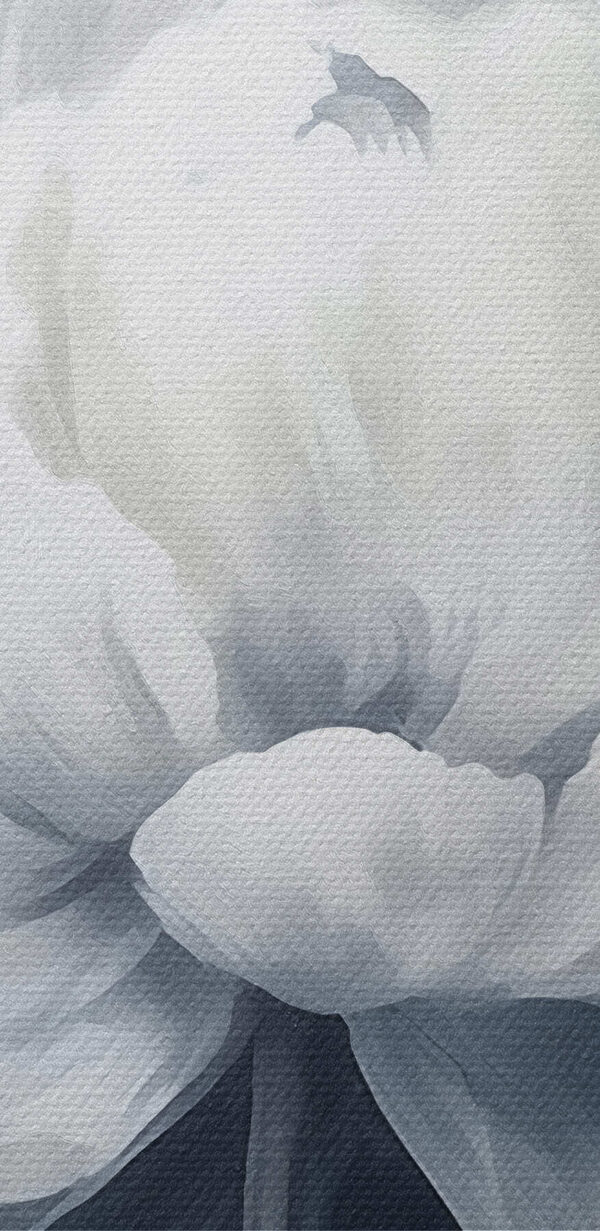 White flower on a blue background White flower on a blue background