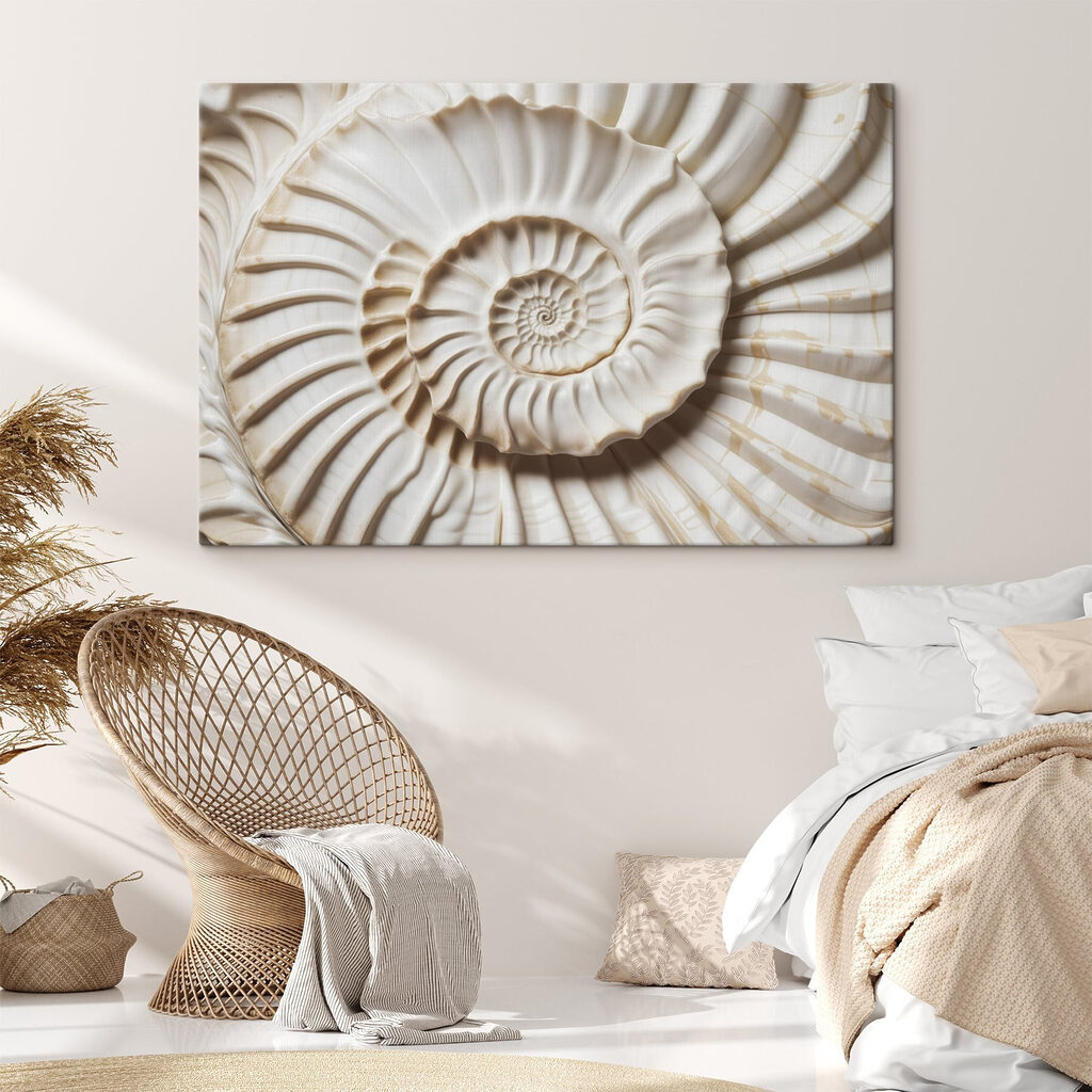 Elegant spiral shell pattern displayed beautifully