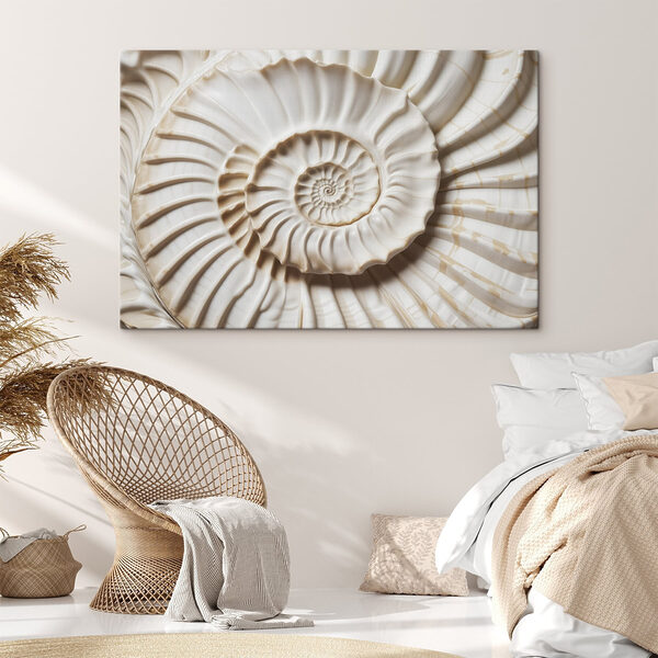 Elegant spiral shell pattern displayed beautifully Elegant spiral shell pattern displayed beautifully