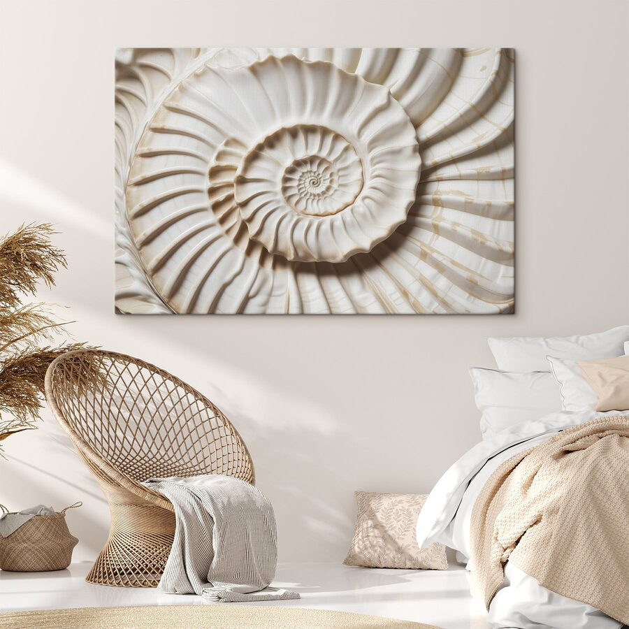 Elegant spiral shell pattern displayed beautifully Elegant spiral shell pattern displayed beautifully