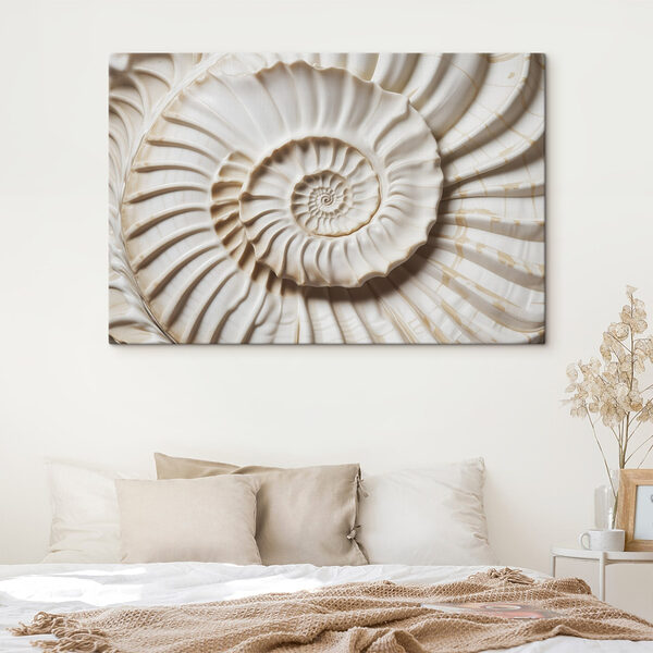 Elegant spiral shell pattern displayed beautifully Elegant spiral shell pattern displayed beautifully