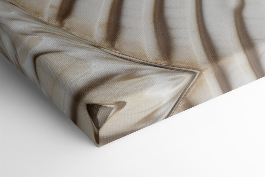 Elegant spiral shell pattern displayed beautifully Elegant spiral shell pattern displayed beautifully