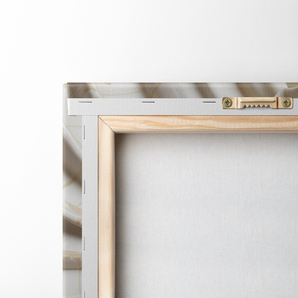 Elegant spiral shell pattern displayed beautifully