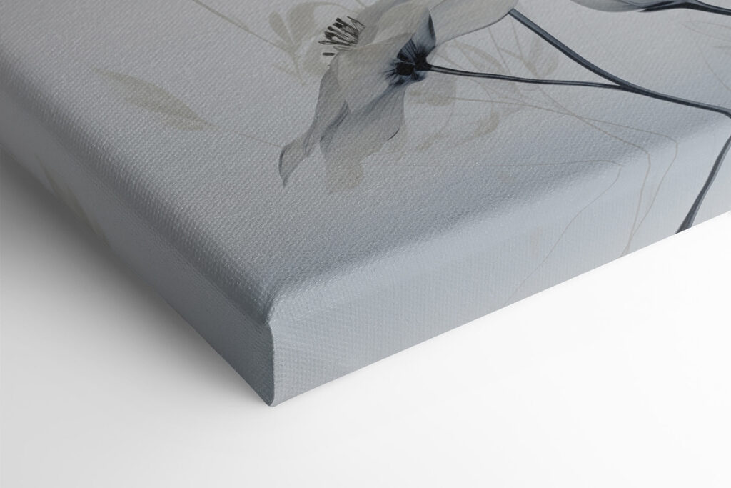 Delicate petals in soft tones Delicate petals in soft tones