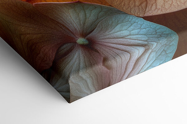 Delicate petals in soft hues Delicate petals in soft hues