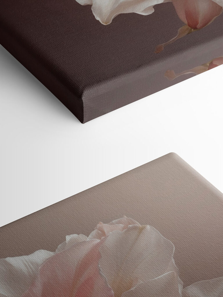 Delicate petals in soft hues