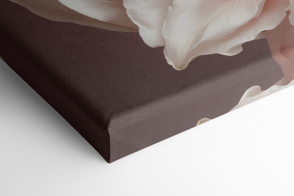 Delicate petals in soft hues