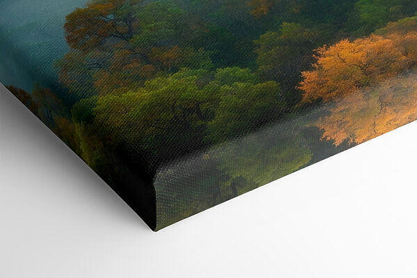 Foggy forest with trees Foggy forest with trees