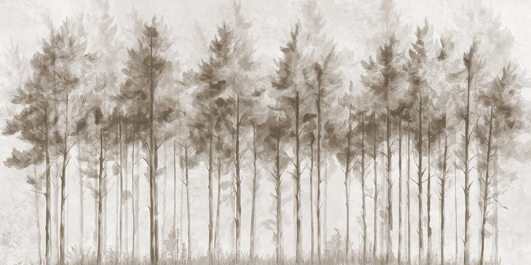 Group of trees in a forest