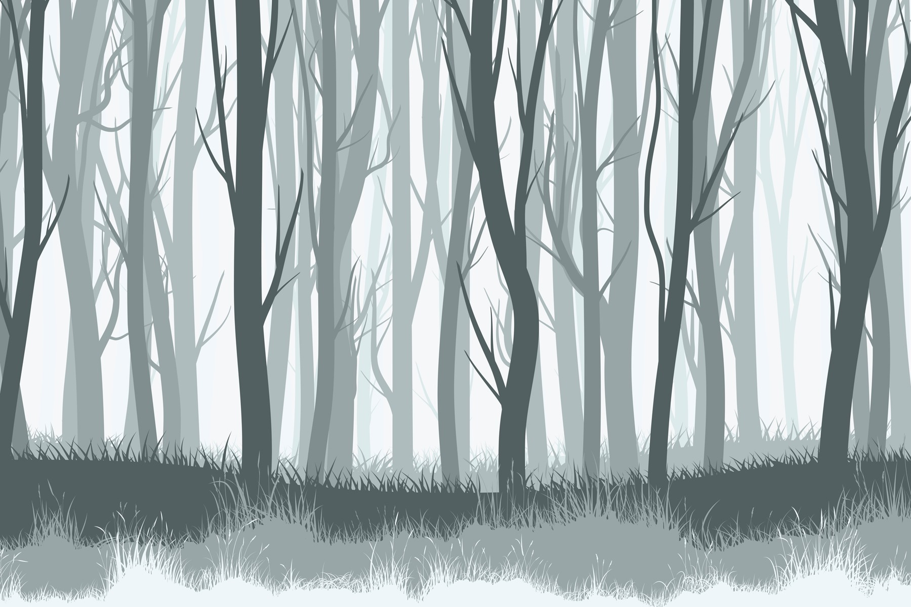 Group of trees in a forest Group of trees in a forest