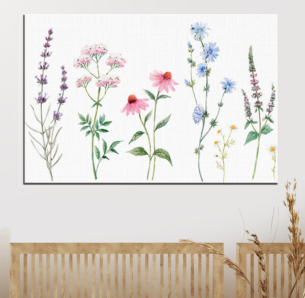 Group of flowers on a white background Group of flowers on a white background