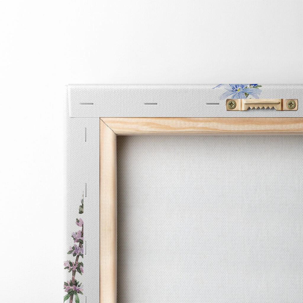 Group of flowers on a white background Group of flowers on a white background