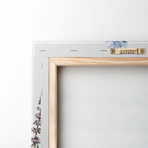 Group of flowers on a white background Group of flowers on a white background